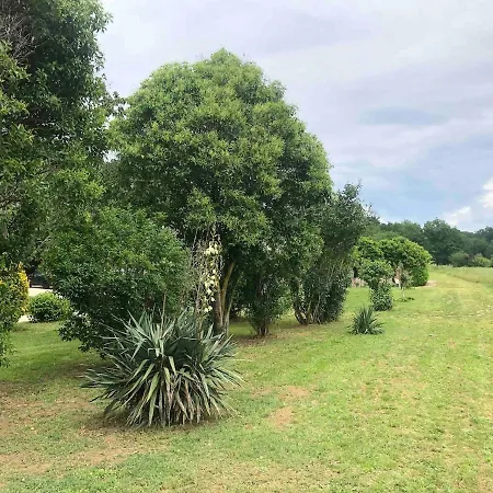 Domaine De Lusclade *